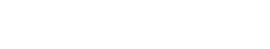 Balsillie School of International Affairs logo