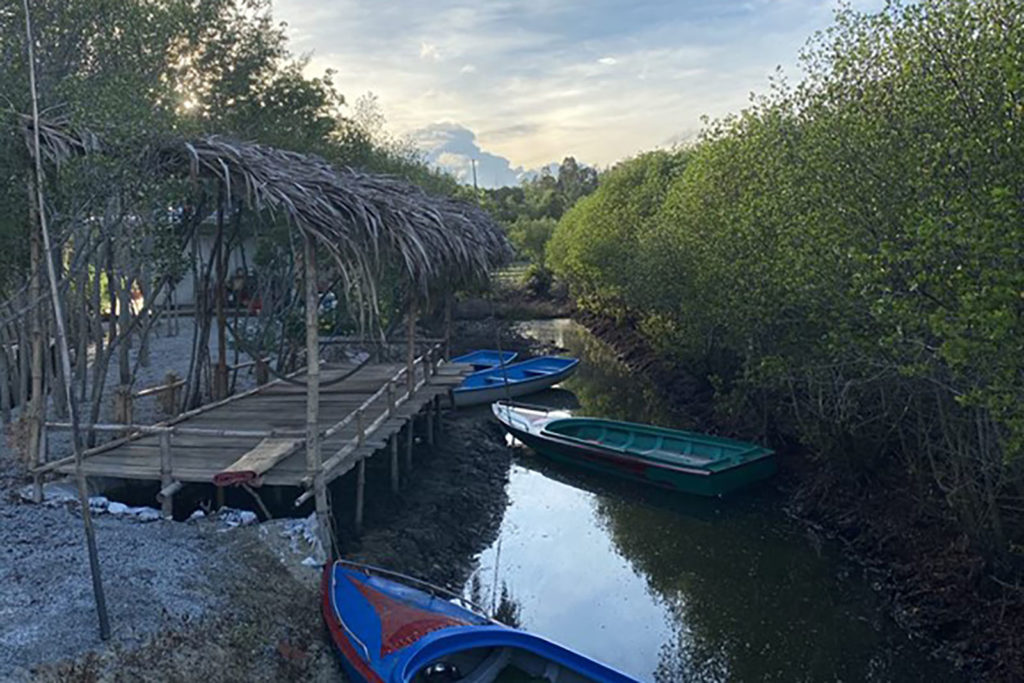 Boats in a small river, tied to a wooden dock, beside mangroves