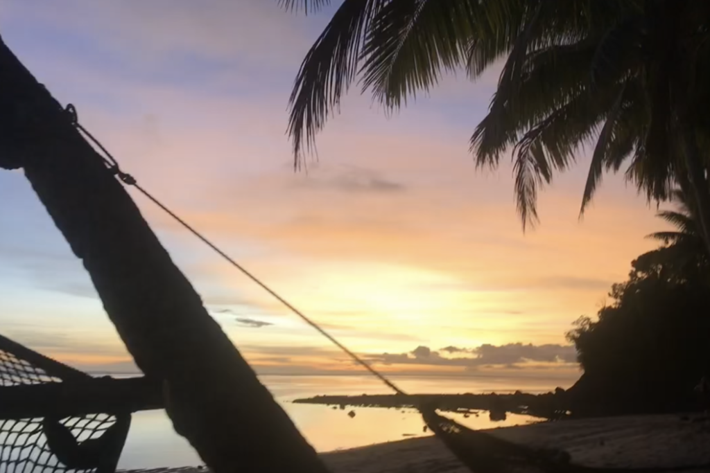Sunset shot with a palm tree and hammock in the foreground